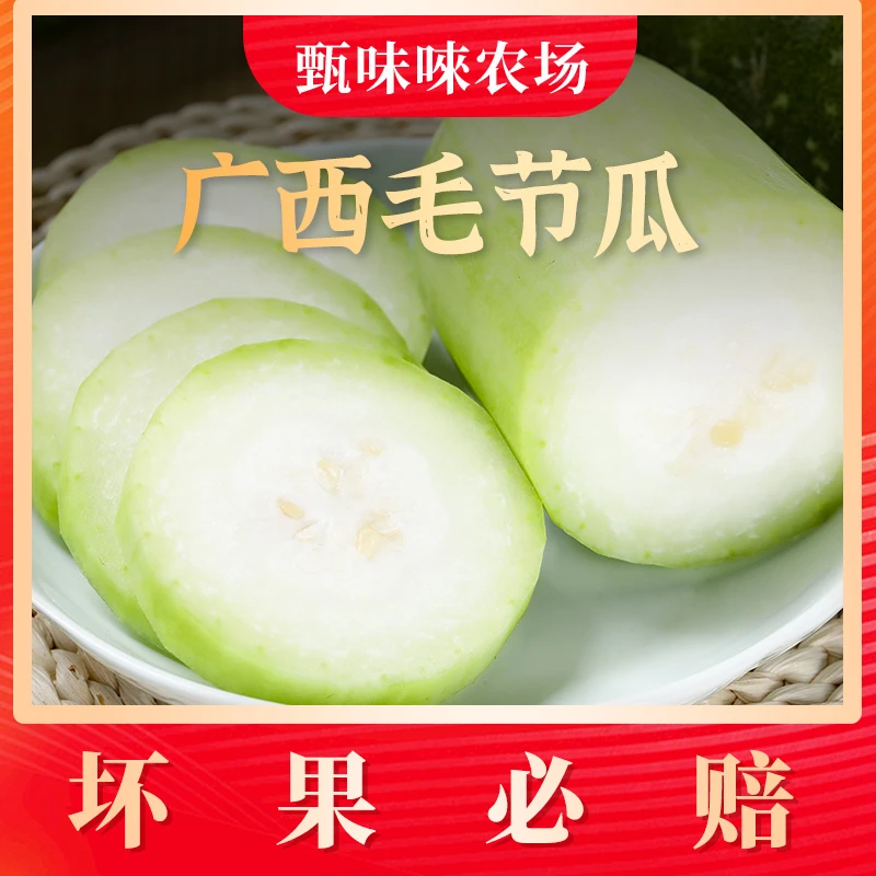 【甄味唻农场】广西毛节瓜4.5斤装 单果500-700g+2-4个