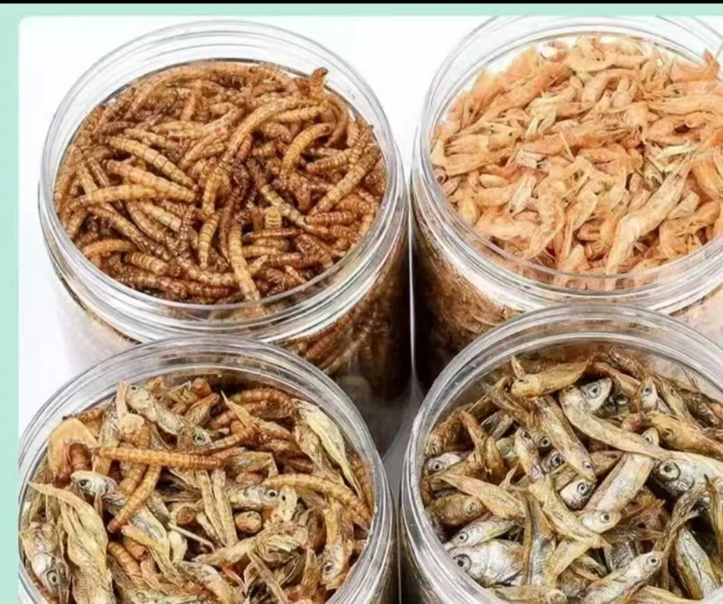 宠物食品面包虫冻干虾