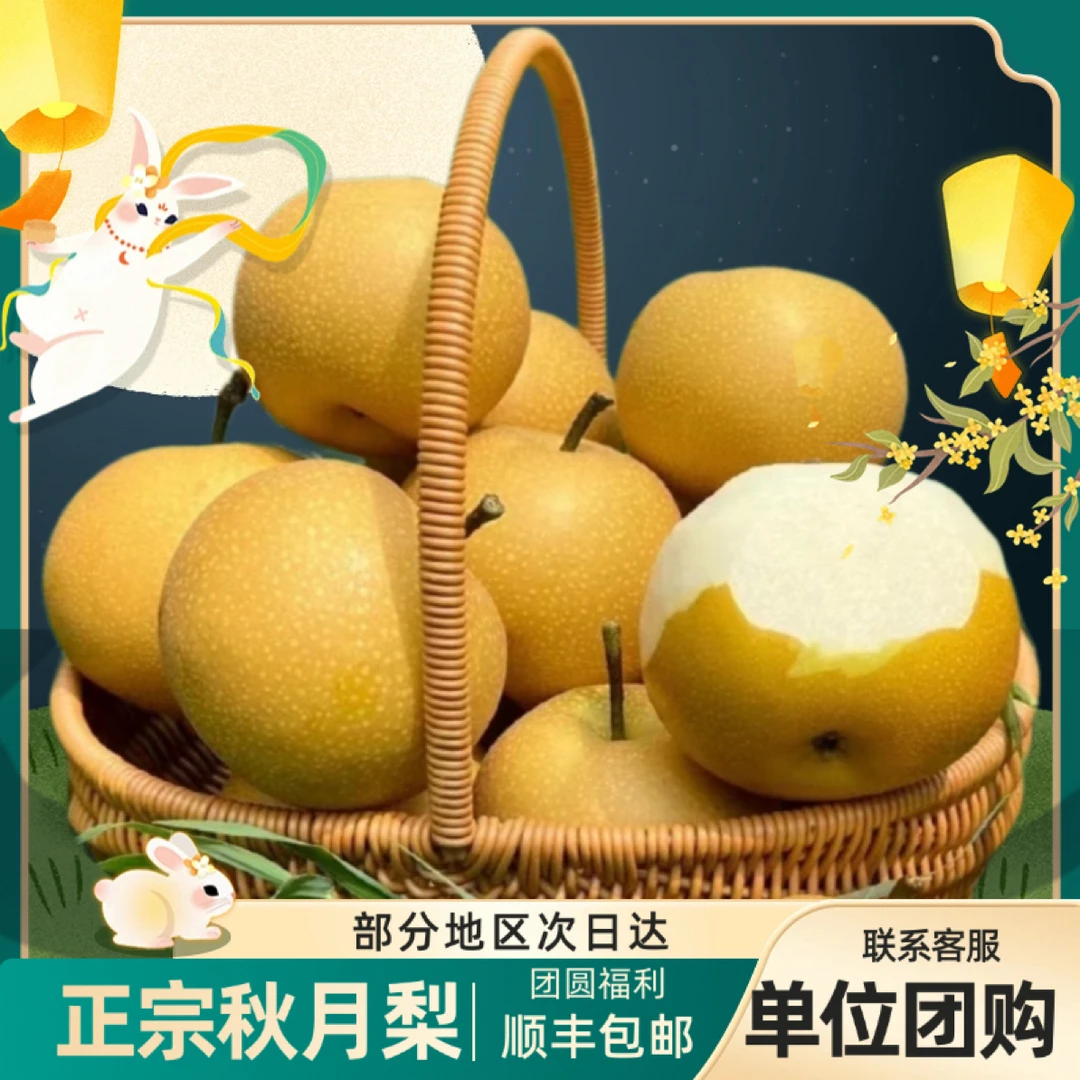 辽宁秋月梨礼盒送礼脆甜多汁顺丰包邮山东省