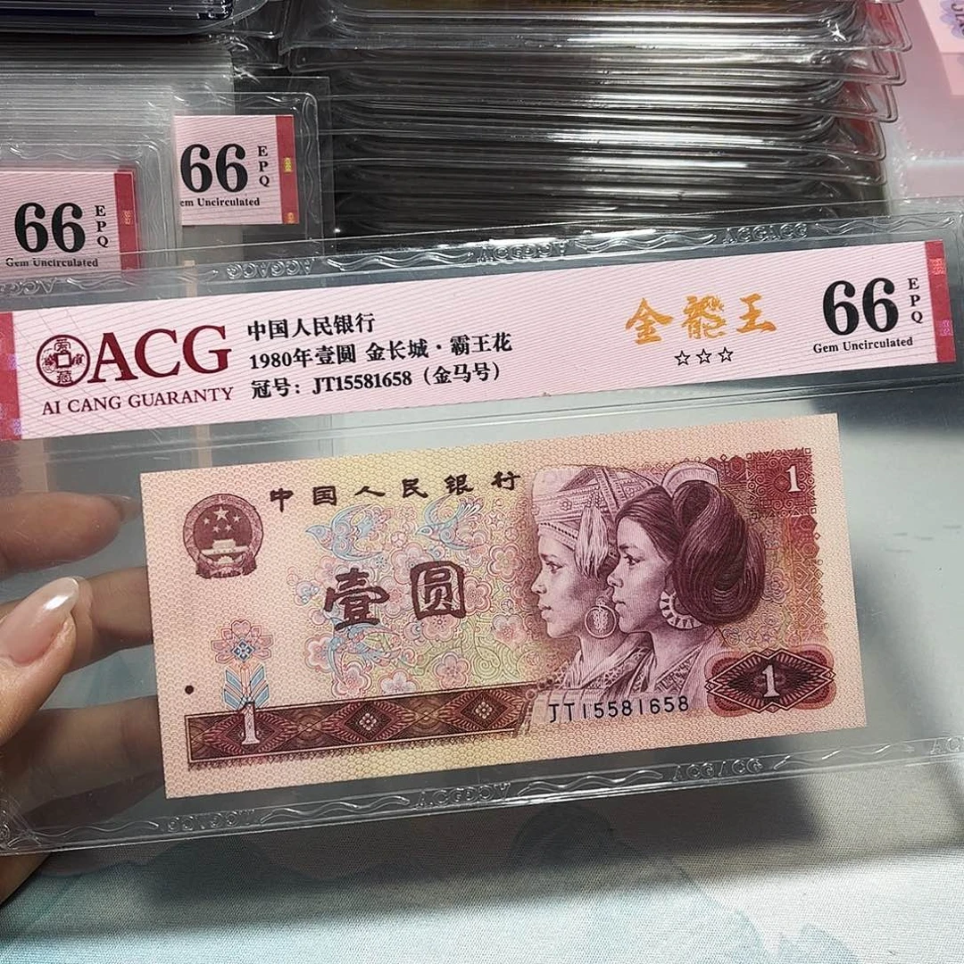 15581658。。。。。金龙王