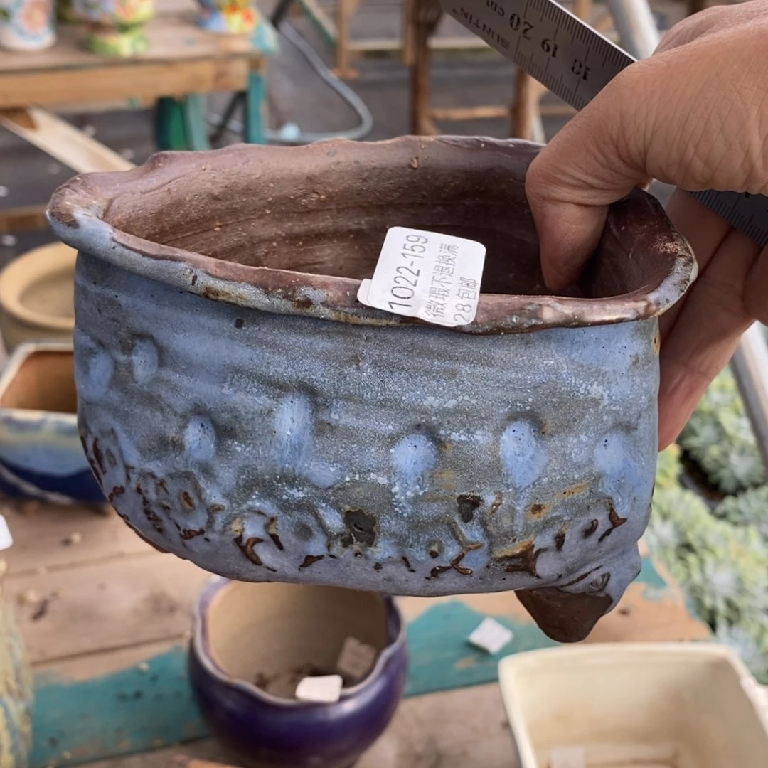 159号多肉盆口径11