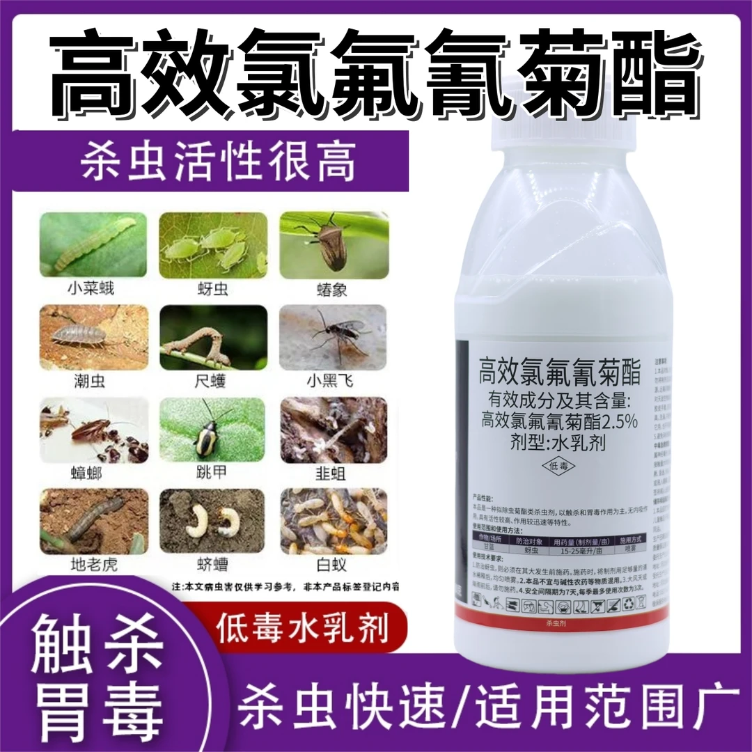 广谱性杀虫剂高效氯氟氰菊酯防治蚜虫菜青虫小菜蛾蔬菜花卉用药