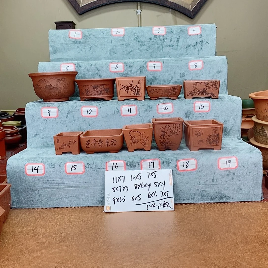 紫砂花盆我在看书