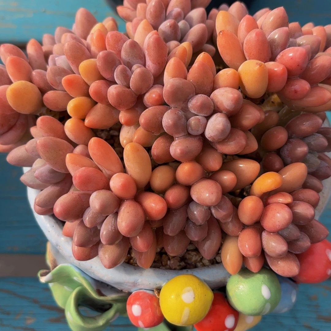 Nnkkjnnnknnnnnnnnmkjjj