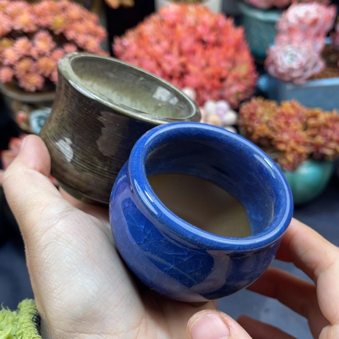 木*花盆 两个 多肉植物