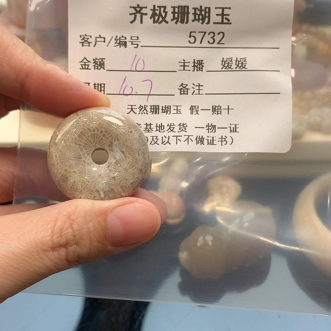 颈饰未镶嵌硅化珊瑚（珊瑚玉）稻*