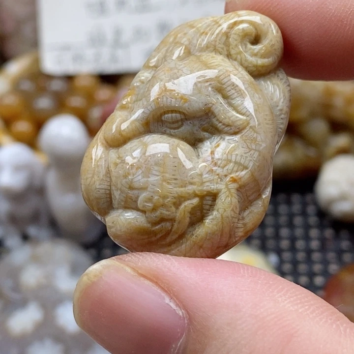 硅化珊瑚(珊瑚玉)颈饰未镶嵌小吊坠