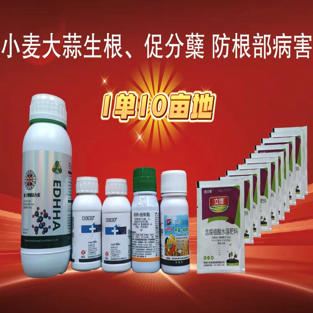 小麦大蒜生根促分孽防根腐1单10亩