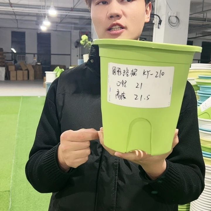 正品圆控口21高21果绿色8只无托