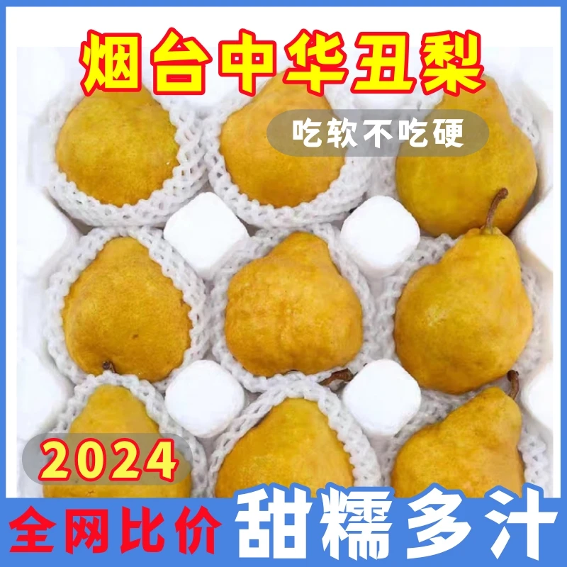 【放软吃】中华丑梨软糯香甜大果正宗山东烟台啤梨新鲜水果