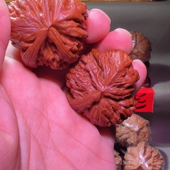 把件文玩核桃极品白狮三棱犀牛39边30高罕见