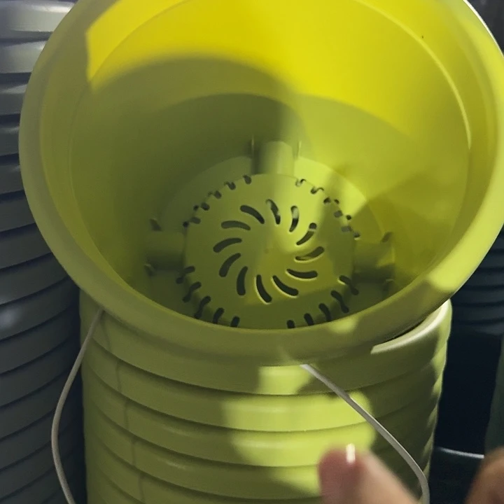 四季4号果绿无托8个特价微瑕