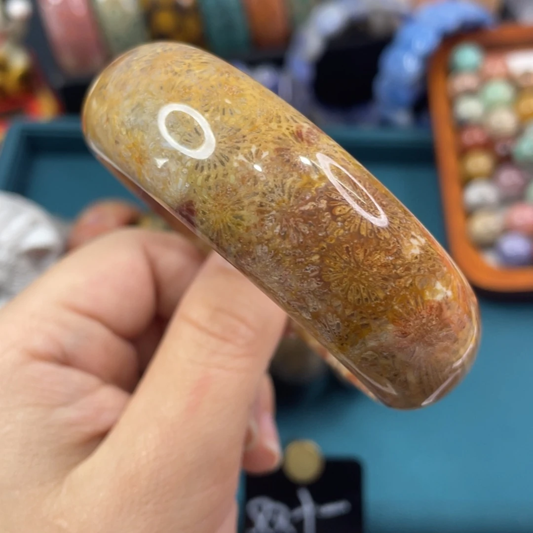 未镶嵌手镯硅化玉