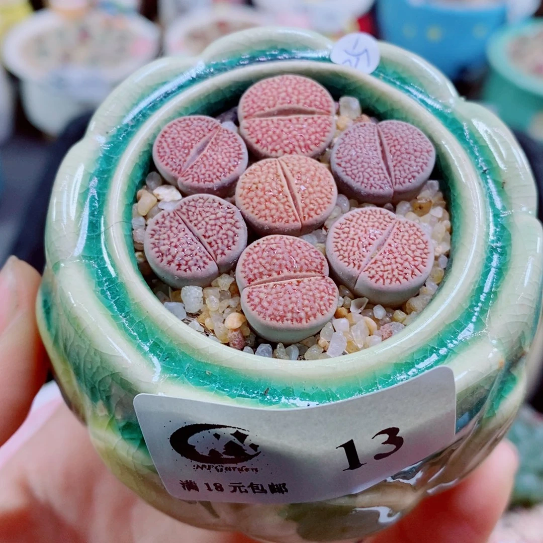 石*其实哈哈哈哈哈哈哈哈哈13