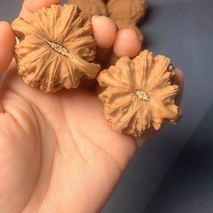 红***皮吊坠文玩核桃白狮子