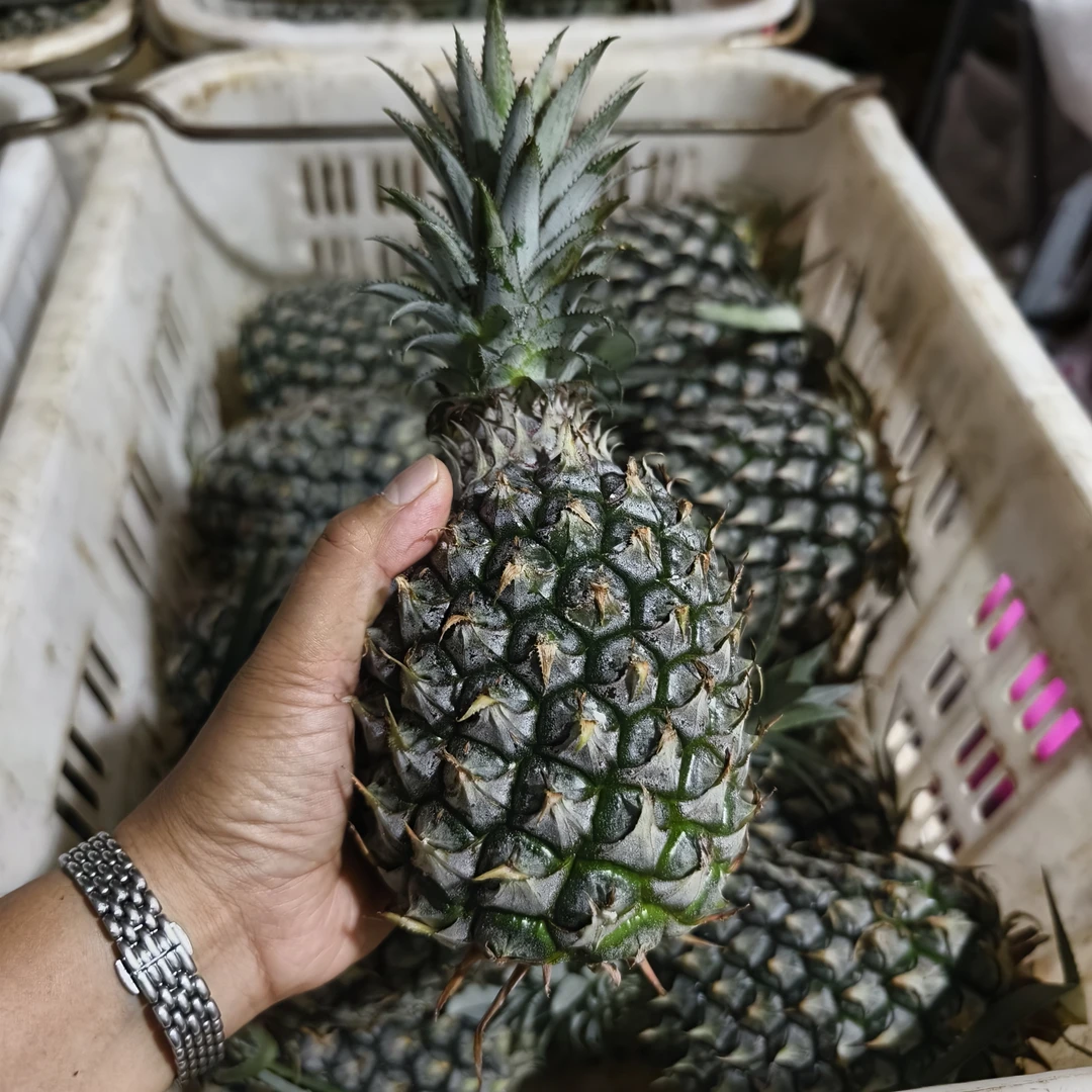 海南手撕凤梨手撕菠萝【中通】