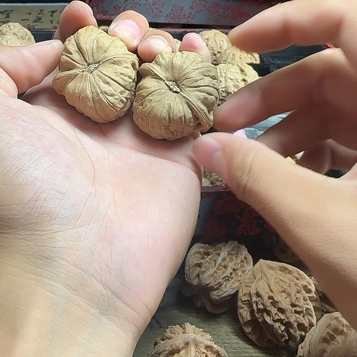 心***路吊坠龙脊菩提啊啊啊啊啊啊啊啊啊12