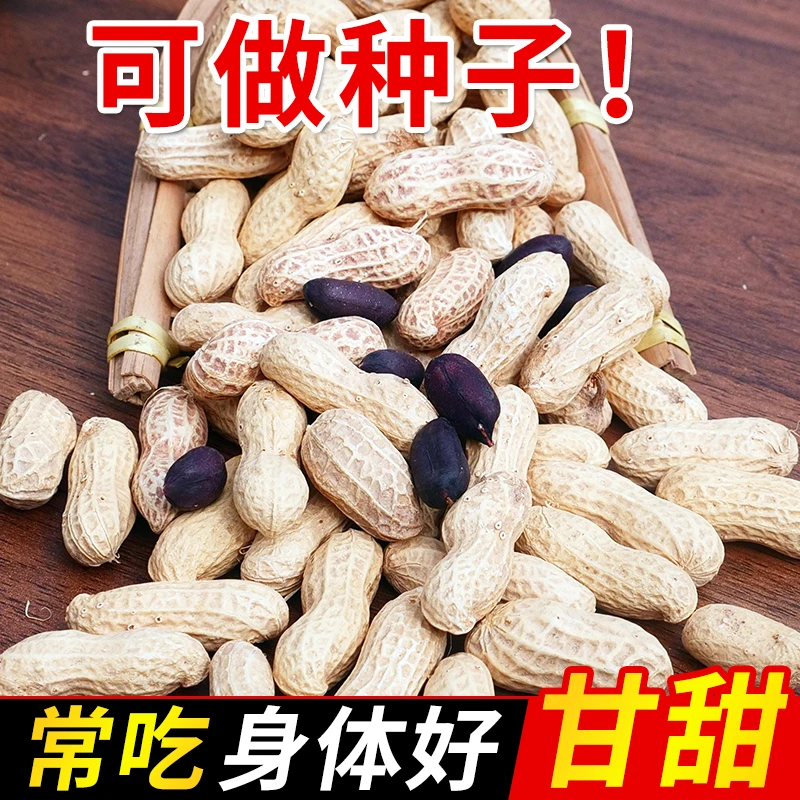 今年新货黑花生香甜原味晒干农家自种黑皮紫皮花生可即时可做种子