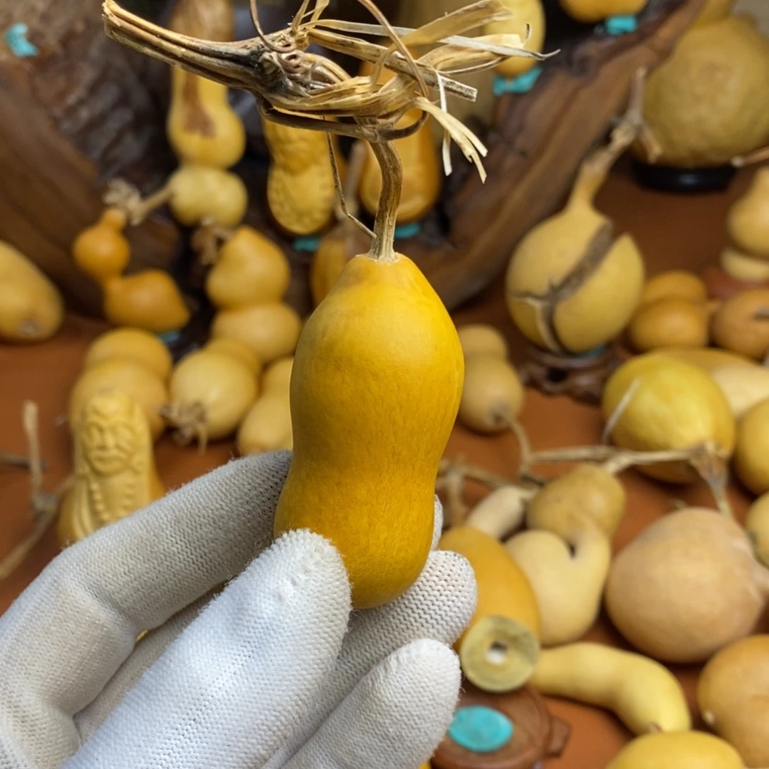 伯***飞教练咯教练咯教练咯