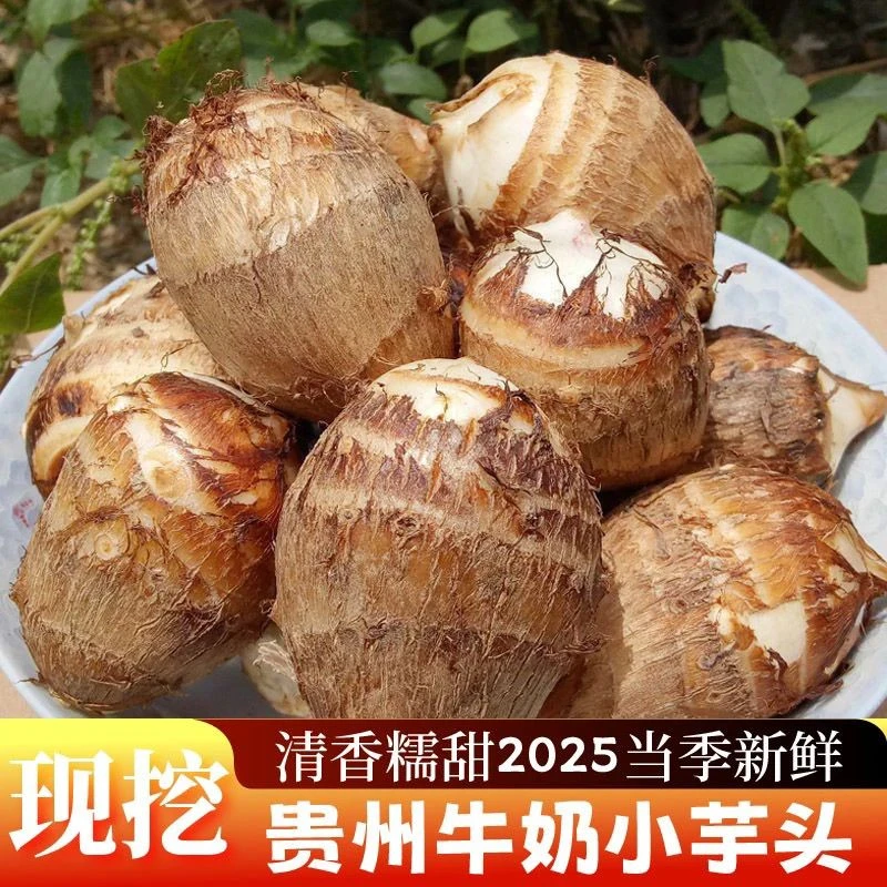 贵州高山牛奶芋头现挖现发老品种芋头粉糯香糯奶香孕芋头