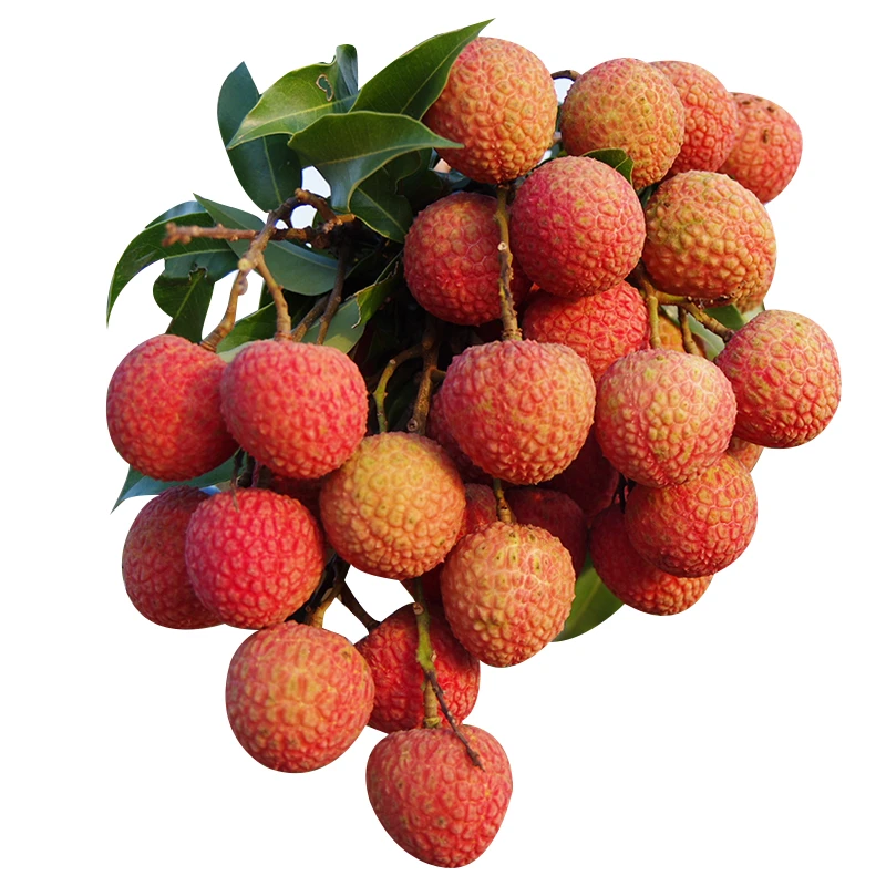 鉴河白糖罂荔枝空运包邮2.5斤4.5斤8斤10斤时令水果当季生鲜高州