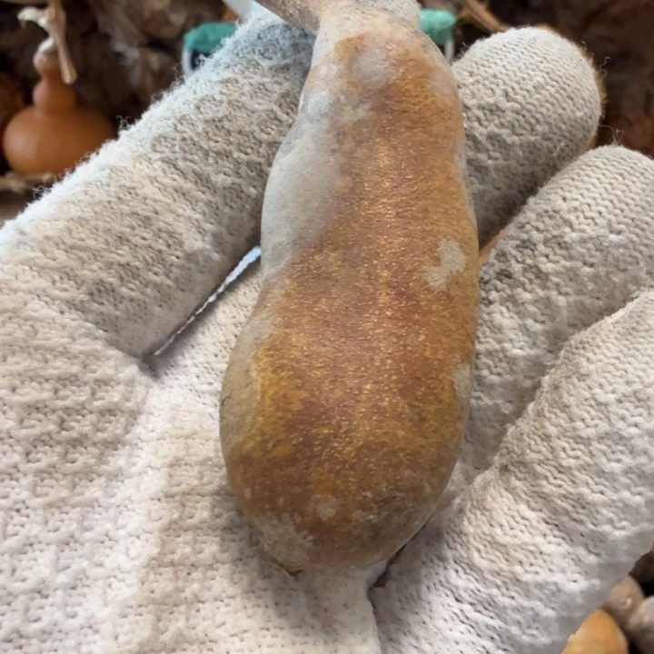 普***r666677777777888@iii