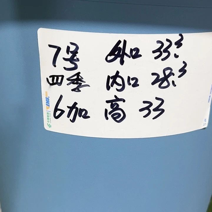 特价7号四季口33高33雾霾蓝无托4只