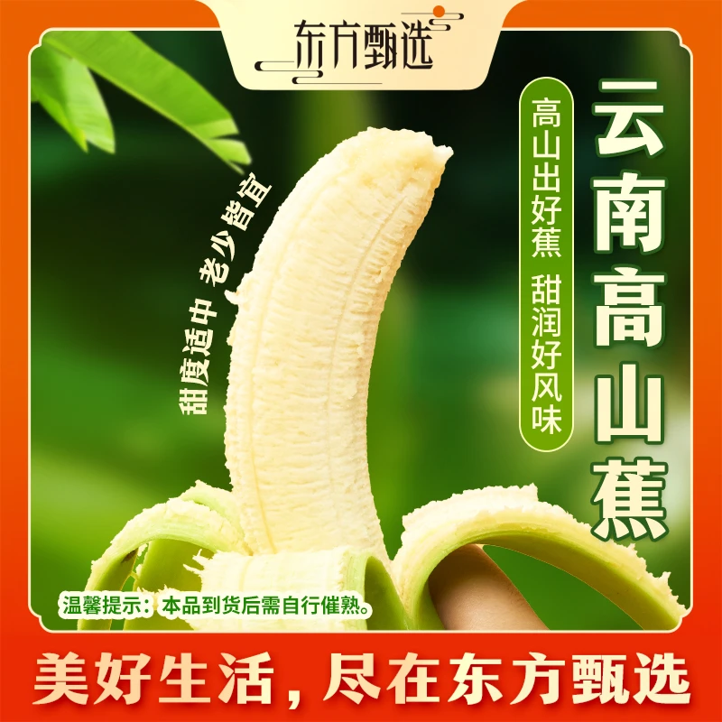 东方甄选自营云南高山香蕉香甜软糯应季新鲜水果时令生鲜坏果包赔