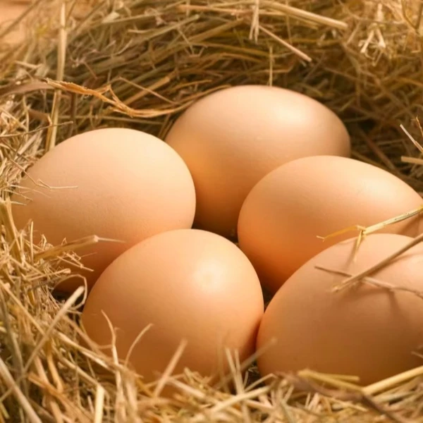 正宗农家生态土鸡蛋30枚装