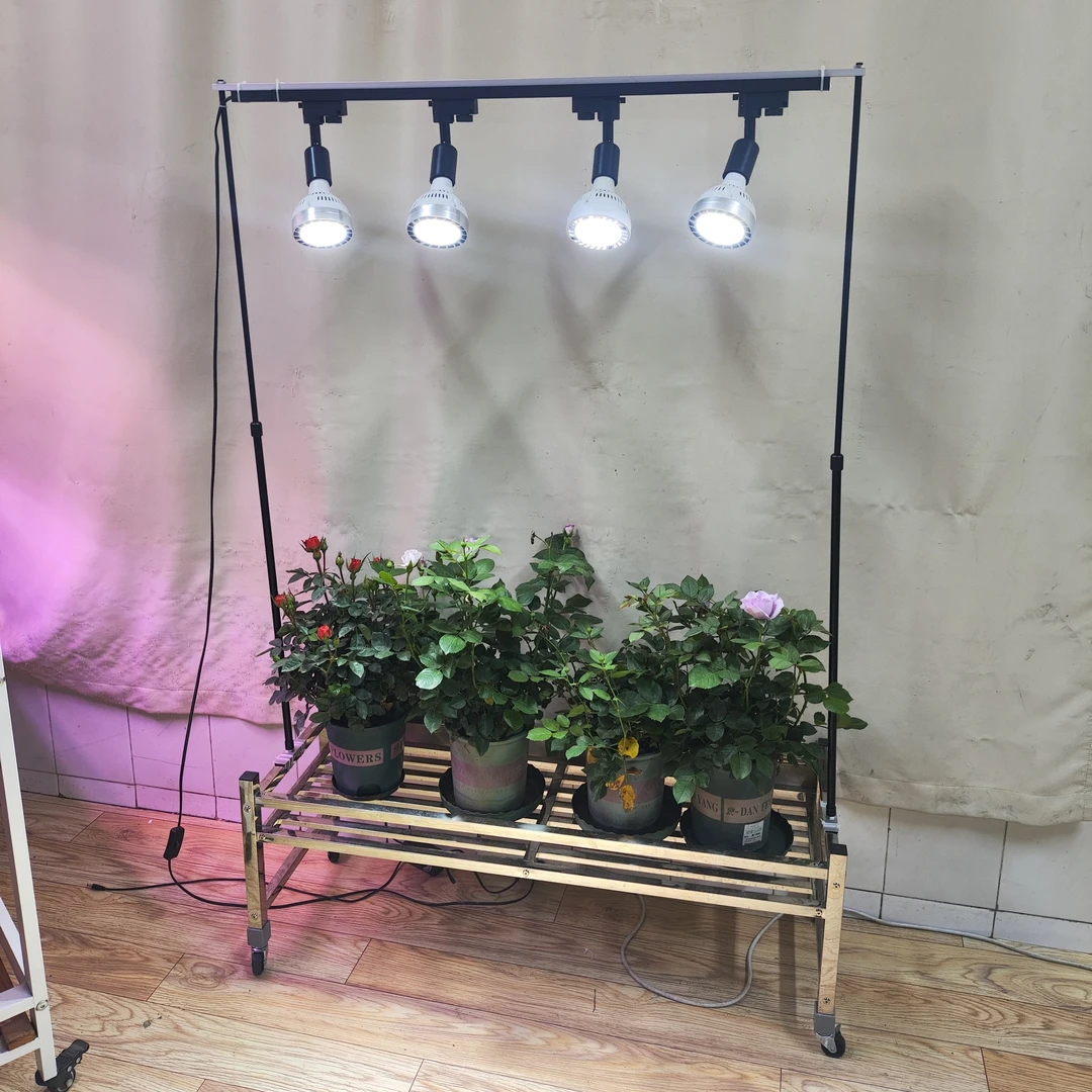 1层植物全光谱补光灯灯泡不锈钢花架花卉草莓绿植补光可移动