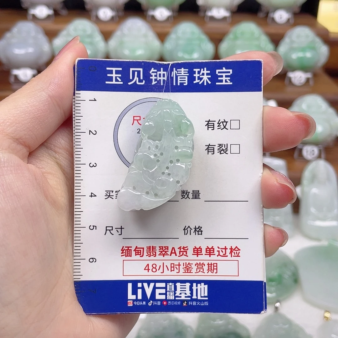 翡翠未镶嵌颈饰貔貅