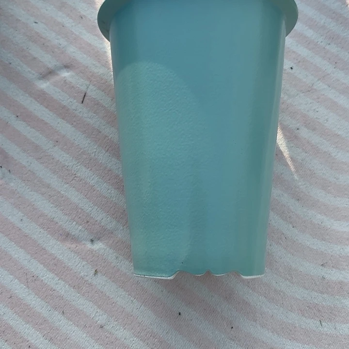 一个一个一个一个一直一直一个