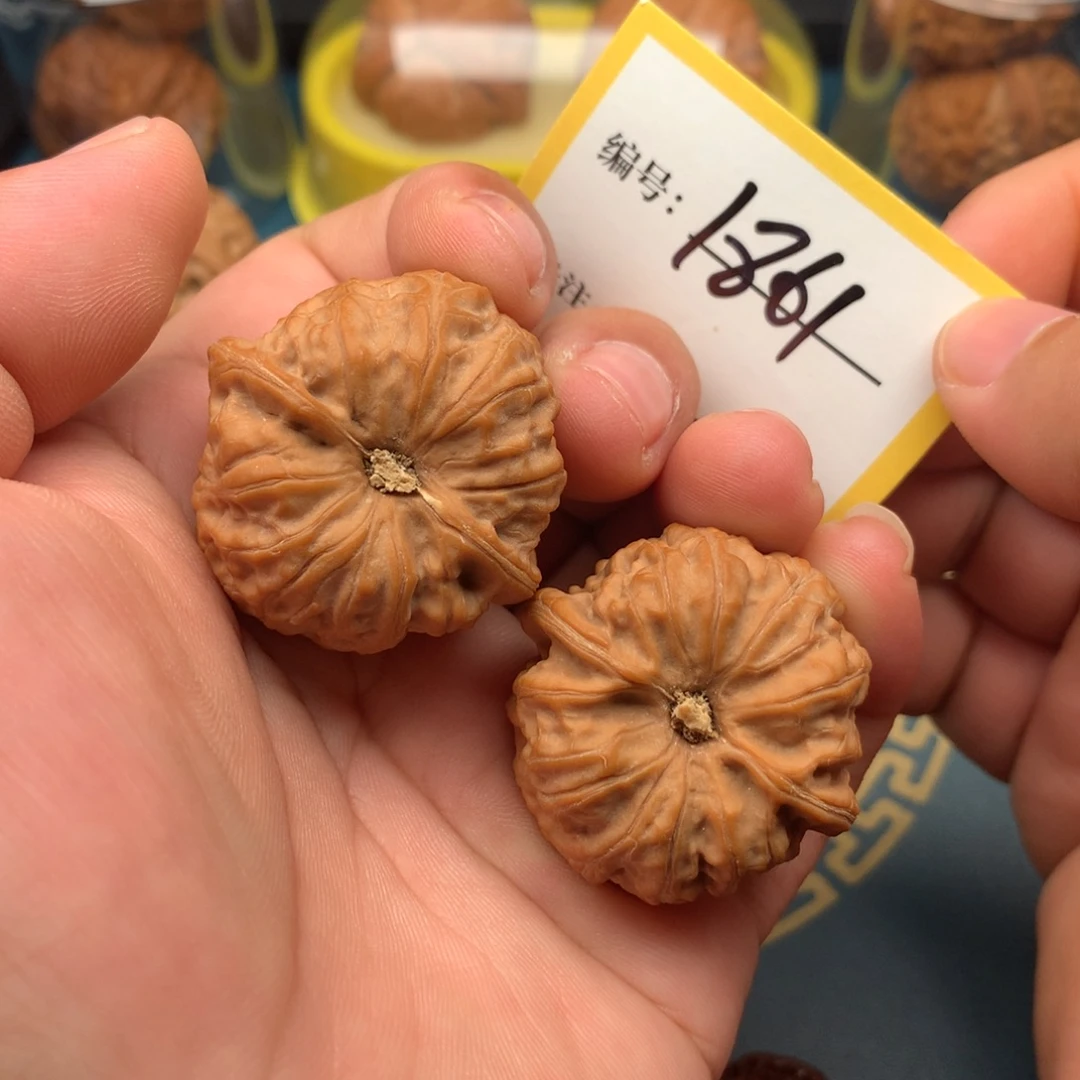 把件文玩核桃37全品玄龙凹底1861