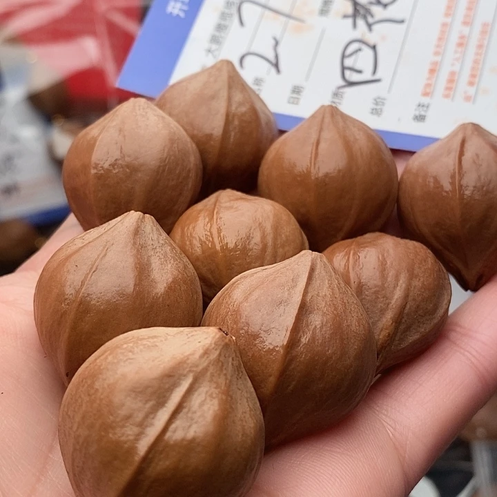 手串/手链橄榄核W***e