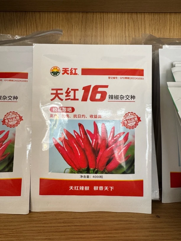 天红16三系杂交新一代朝天椒高抗病毒病产量高易管理