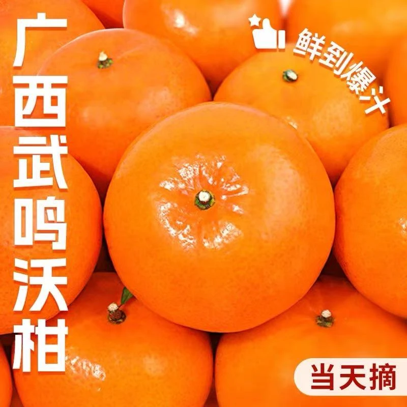 正宗广西武鸣沃柑老树头茬果新鲜采摘清甜多汁皮薄肉厚