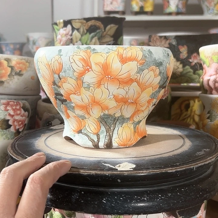 满38包邮 不满足不发哈