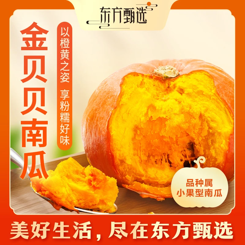 东方甄选自营金贝贝南瓜5斤装当季新鲜蔬菜坏果包赔 顺丰/京东
