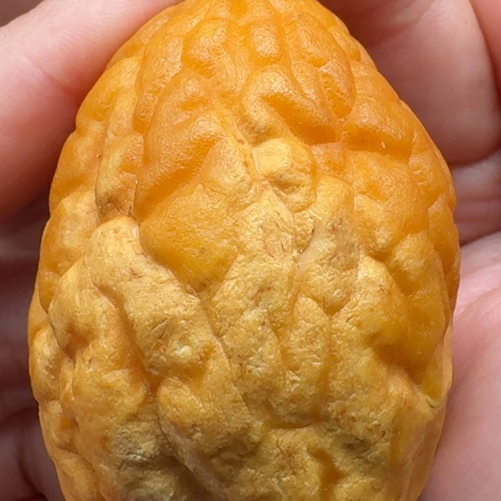 定制琥珀未镶嵌琥珀蜜蜡定制