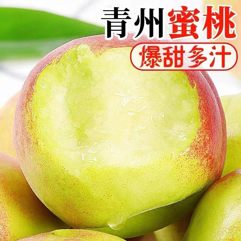 【青州蜜桃】蜜桃脆桃脆甜毛桃当季水果新鲜现摘现发