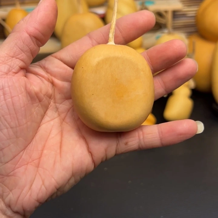 =*=56666856655555889