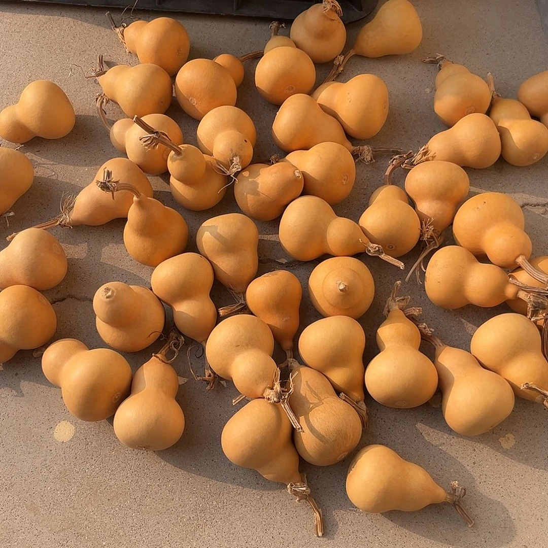 y***.美果胖墩通货微瑕