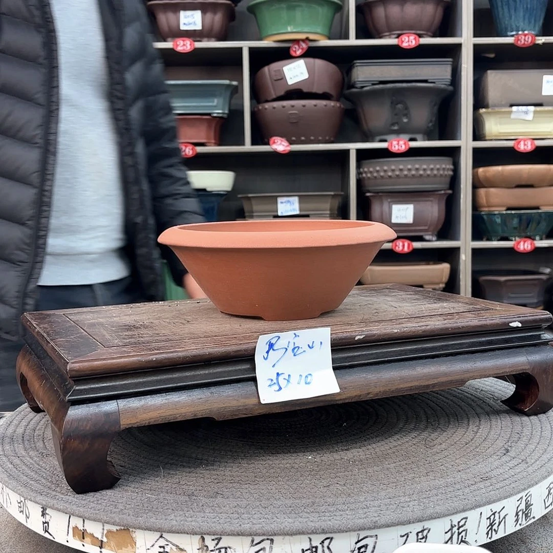 紫砂花盆紫砂的花也太美