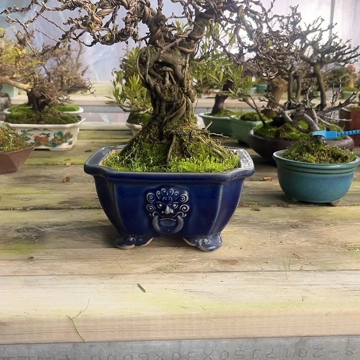红陶焕*1。1122222