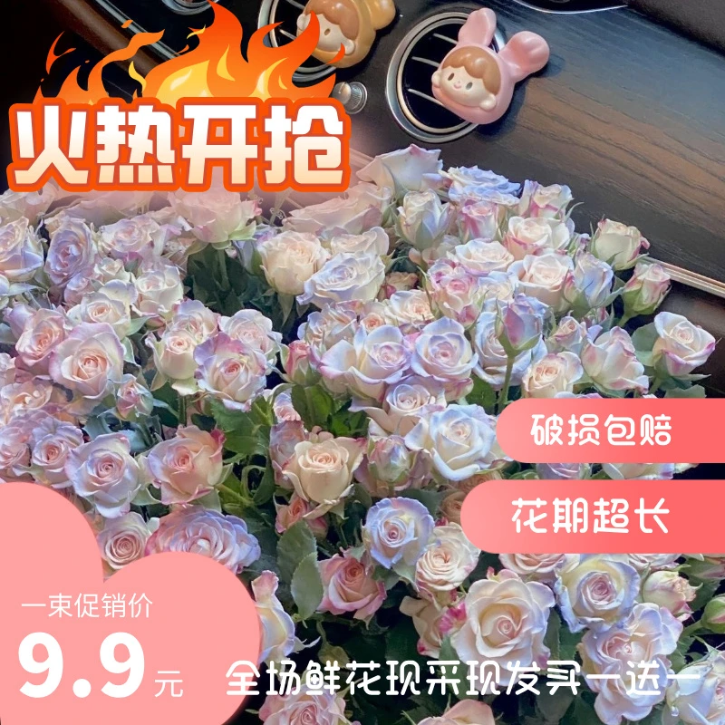 碎冰蓝折射泡泡多头玫瑰云南基地直发新鲜花束家用装饰鲜花花束