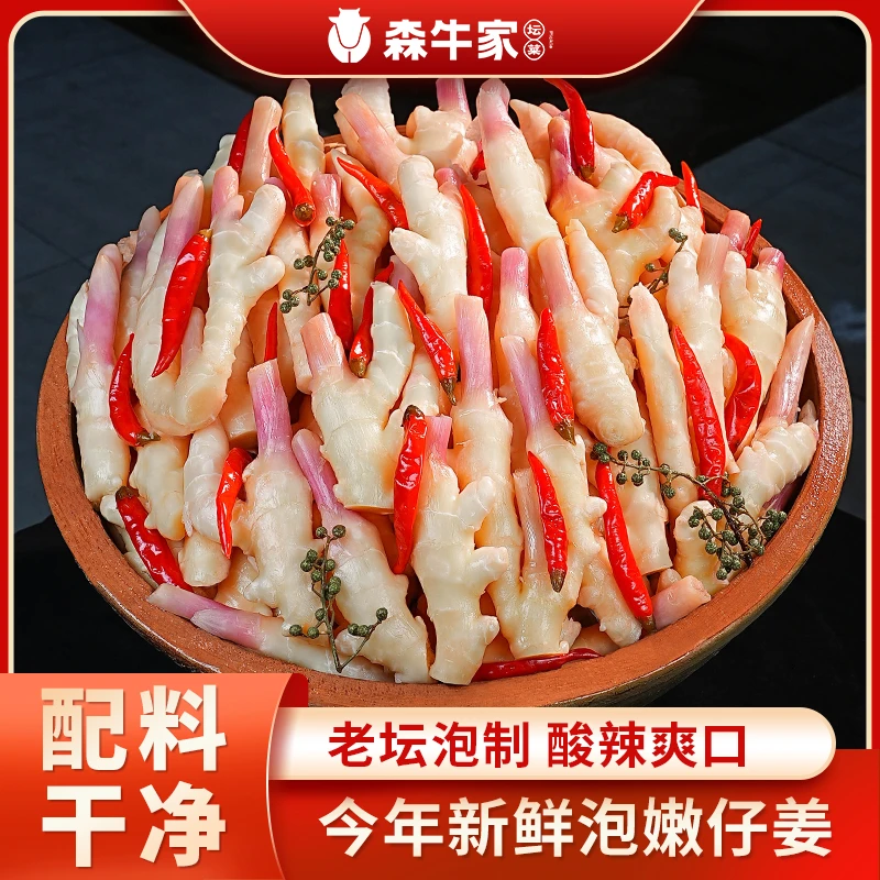 【配料表干净】森牛家四川老坛泡菜新鲜酸辣爽口泡嫩仔姜芽450g