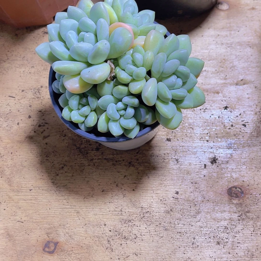 @***妹000000000000000206