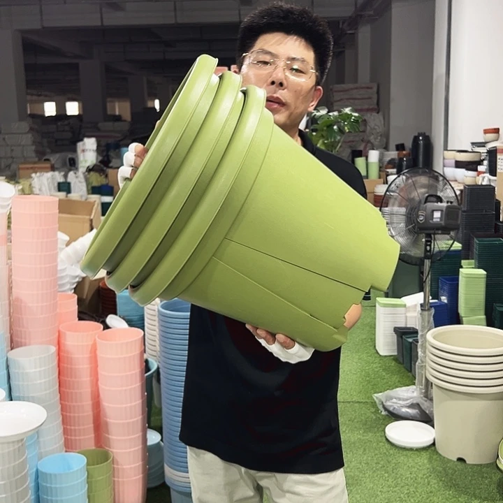 青山口40高34果绿无托3只