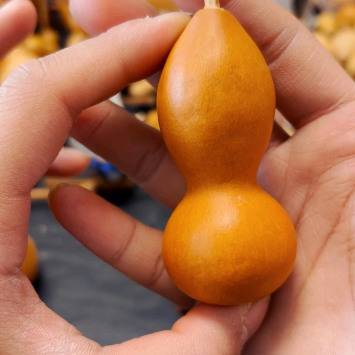 来*888888888888888888