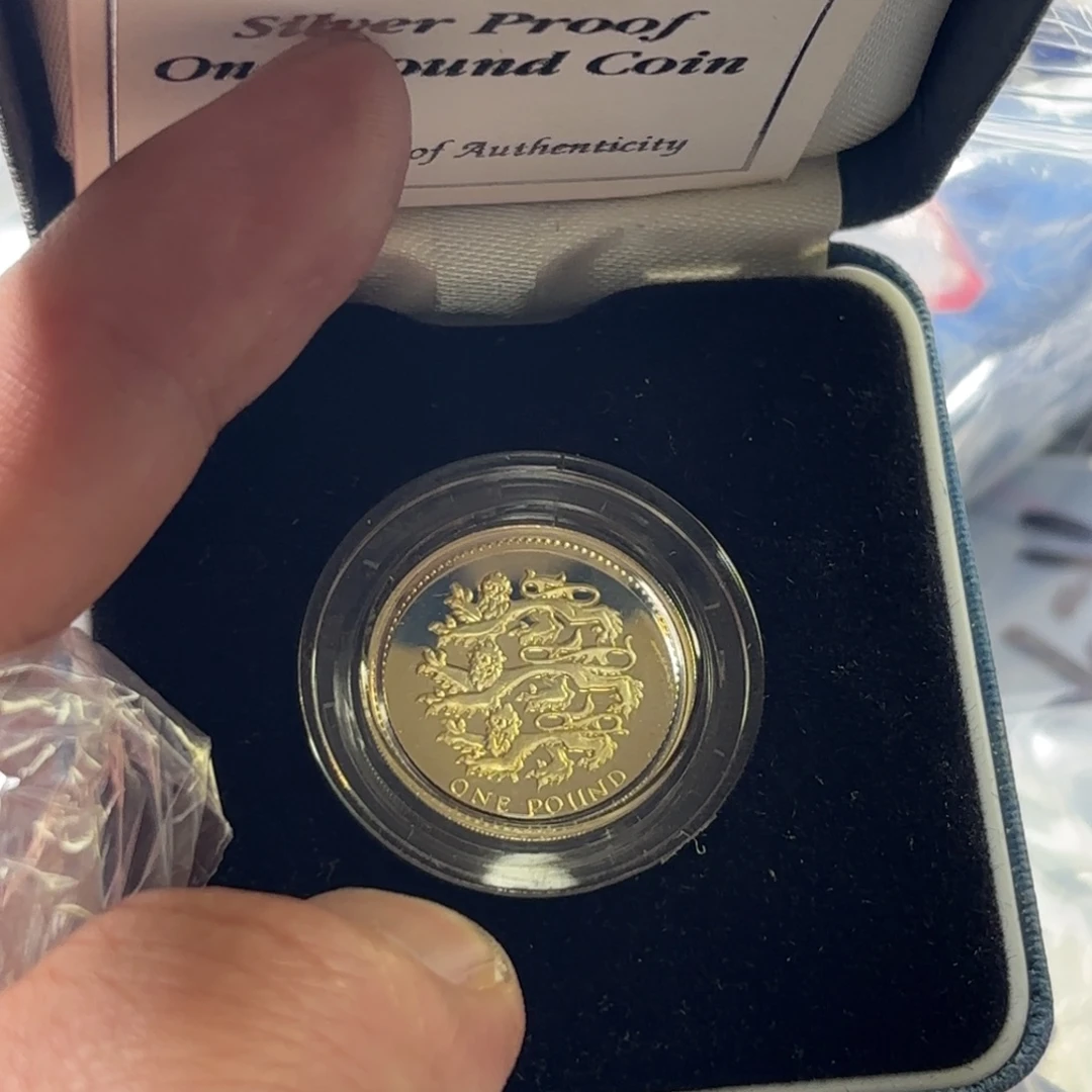 小***兴银Ag900英国银币194